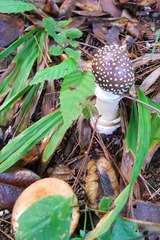 2010_09290022