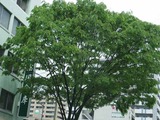 2014_05280003