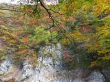 2012_10300029