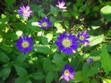 2012_05270011