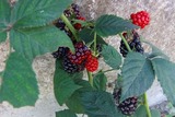 2011_09290019
