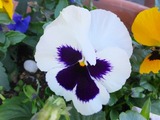 2012_11270004