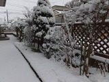 2015_01300007