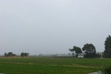 2010_10310001