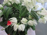 2016_04260001