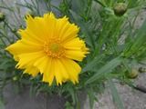 2016_05310001