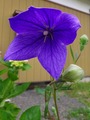 2012_07240006