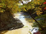 2012_10300032