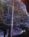 2015_12230016