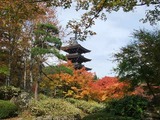2013_10290046