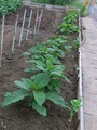 2013_06280020