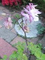 2014_05080037