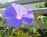2012_08280003