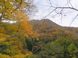 2015_10260034