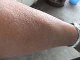 2013_08310006