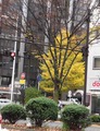 2015_11300002
