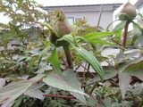 2019_04290004