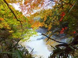 2012_10300028