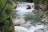2010_09290027