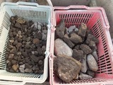 2015_11300006