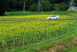 2010_09290011