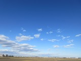 2016_12290002