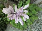 2016_06280001