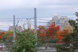 2010_10300002