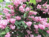 2016_05310012