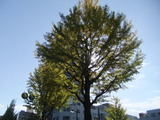 2013_10280007