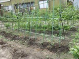 2016_09250004
