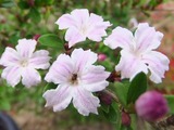 2012_06060012