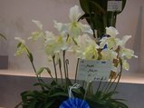 2010_01280053