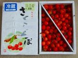 2010_06300001