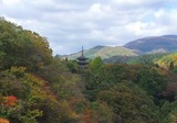2011_10270017