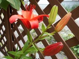 2017_06280002