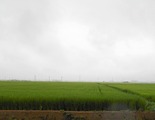 2017_07290002