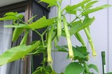 2011_10300027