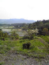 add27b5a.jpg