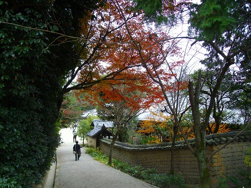 紅葉3