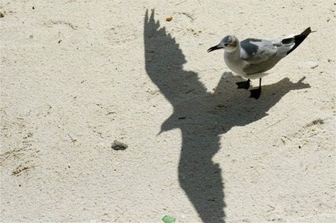 perfect-timing-7