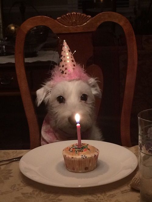 19