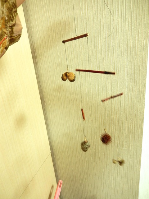 DSCN7313
