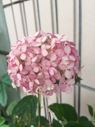 20160630-1