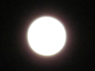 十六夜