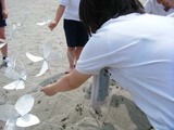 05夕日WS