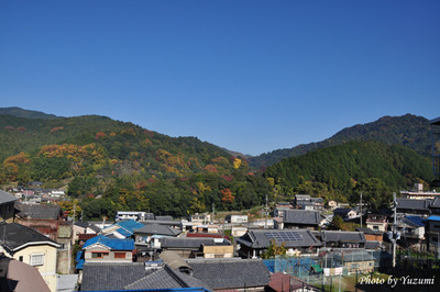 01-DSC_2501.JPG
