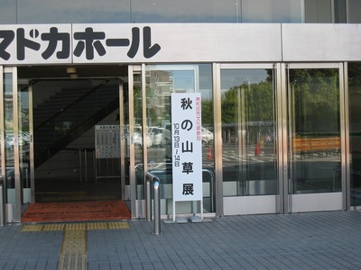 001.jpg