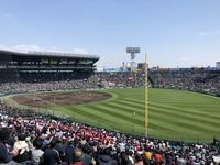 2E54DA48-E59E-45AE-8831-BF6FE422B749