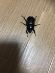 A65348A9-891E-4A67-8A90-A413C69D3E76